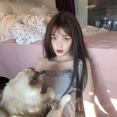 元首的面孔封面
